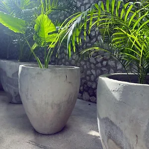 https://bau-tulum.quintano-roohotels.com